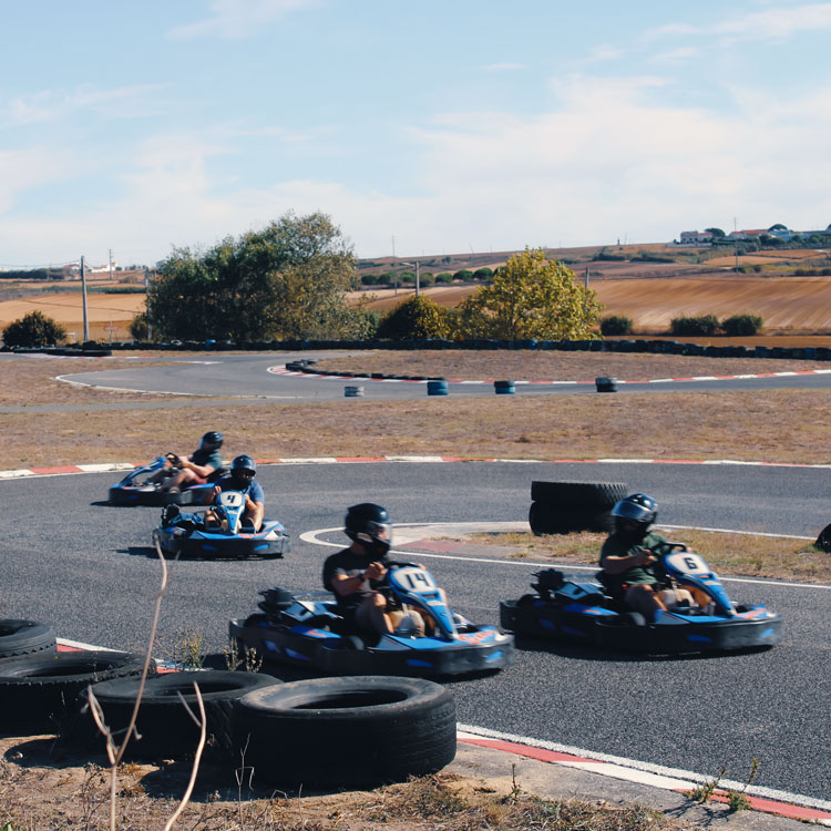 karts na pista do dinokart